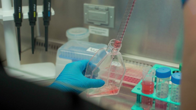 Slider image (7) Lumm Medical - Stem Cell Medellin Colombia